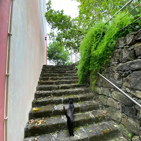 アパルタメントス トゥリスティコス ベルデマール 4*