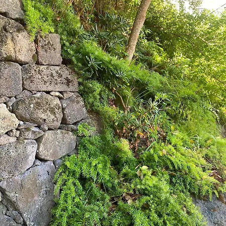 Aparthotel Turisticos Verdemar Horta (Azores)