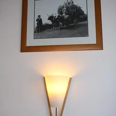 Appart hôtel Turisticos Verdemar