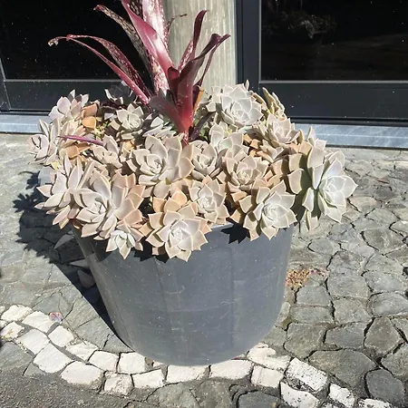 Appart hôtel Turisticos Verdemar