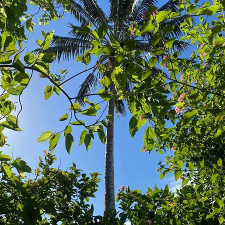 Apart Otel Turisticos Verdemar