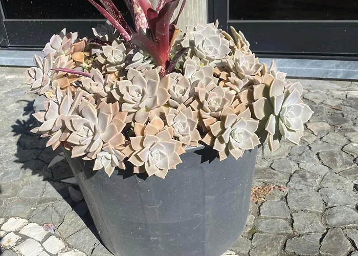 Aparthotel Turisticos Verdemar