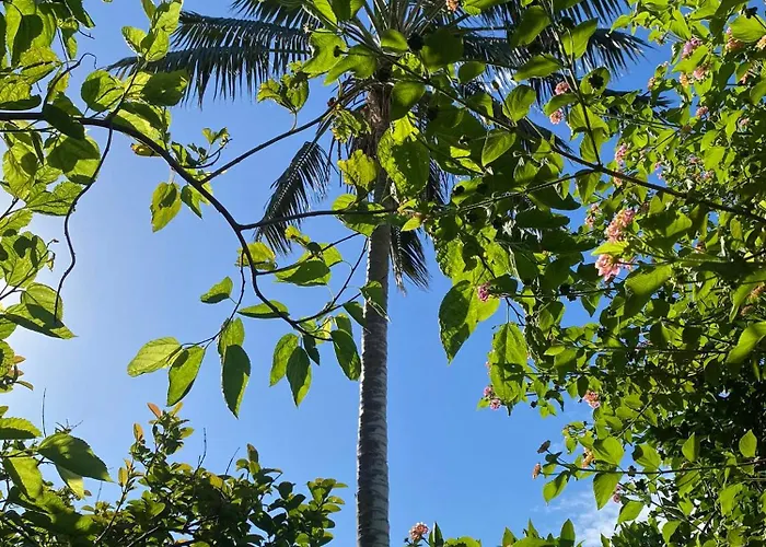 Aparthotel Turisticos Verdemar